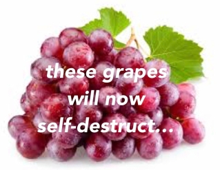 grapesselfdestruct.jpg